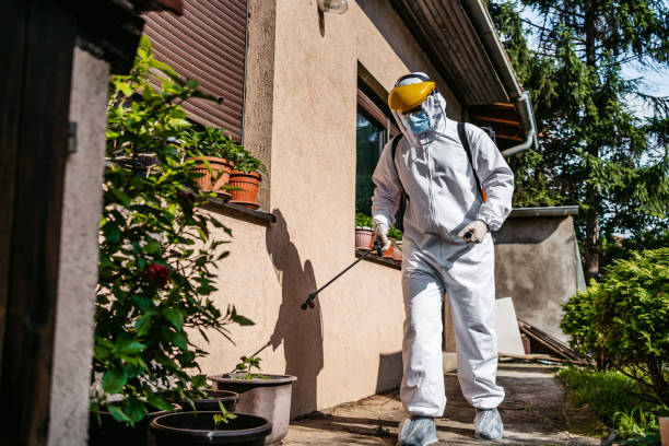 Best Flea Control Services  in Clyde, OH
