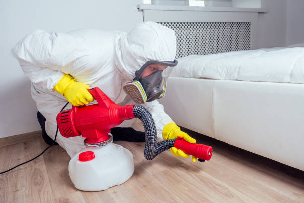 Wasp Removal Services in Clyde, OH