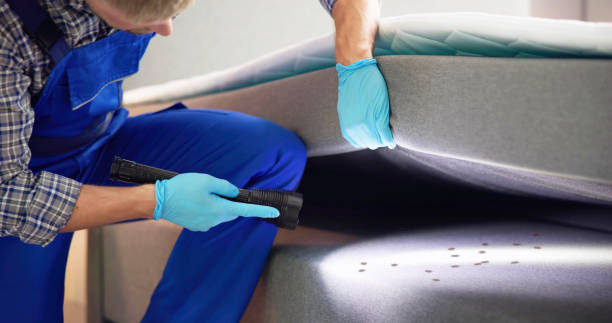 Best Termite Control Services  in Clyde, OH